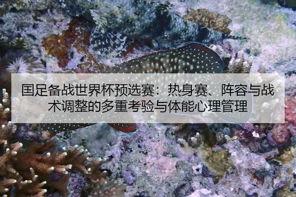 guo-zu-bei-zhan-shi-jie-bei-yu-xuan-sai-re-shen-sai-zhen-rong-yu-zhan-shu-tiao-zheng-de-duo-zhong-kao-yan-yu-ti-neng-2-607.jpg